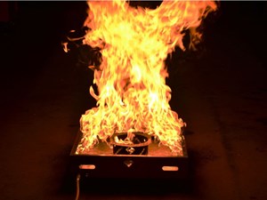 סימולטור אש חיה