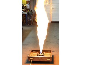 סימולטור אש חיה