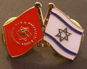 סיכת דגל ישראל וכבאות