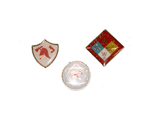 סמלים וסיכות מאמייל